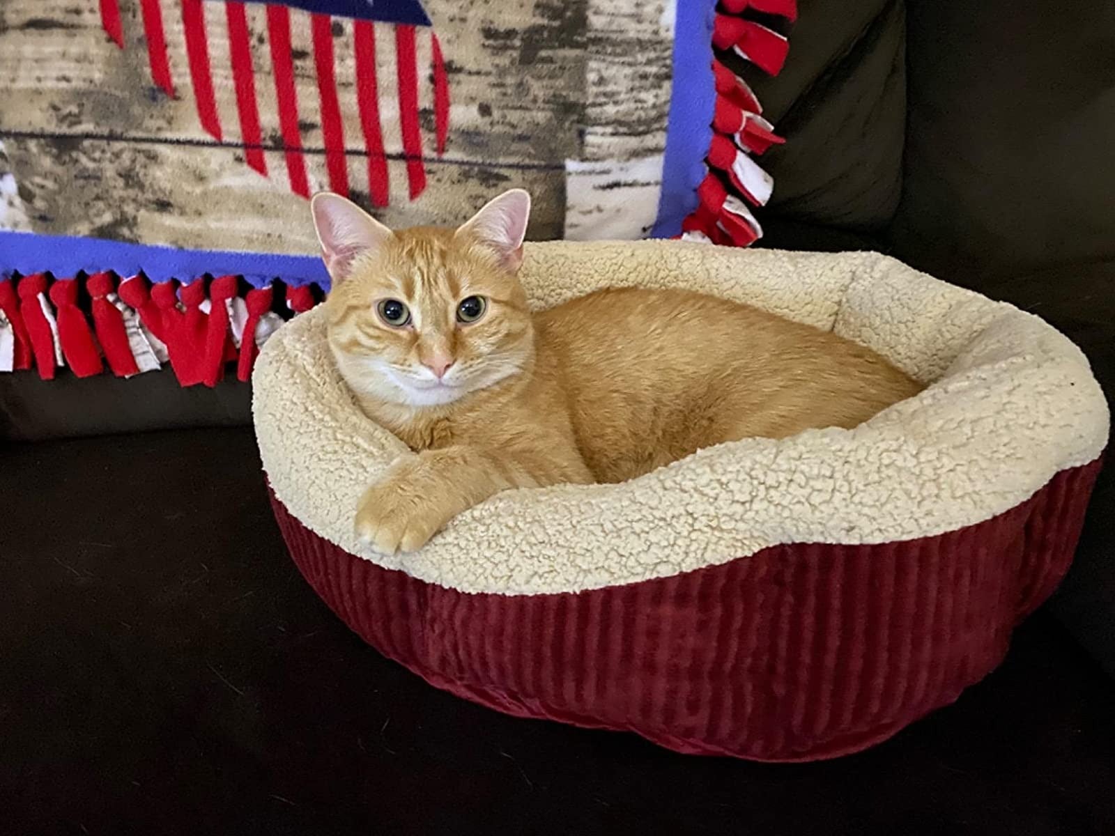 Aspen self deals warming cat bed