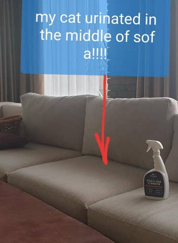 reviewer pic of the bottle sitting on a sofa with the words 
