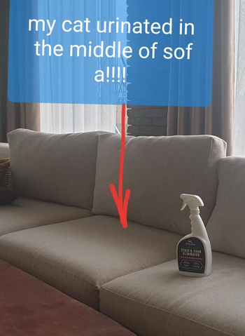 reviewer pic of the bottle sitting on a sofa with the words 
