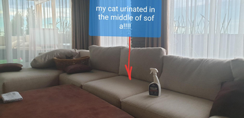 the bottle sitting on a sofa with the words