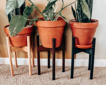 lifestyle image of three different sizes pots in plant stands