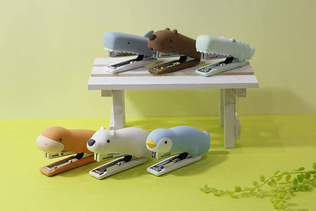 the staplers in shark, beaver, crocodile, bird, walrus, and polar bear shapes