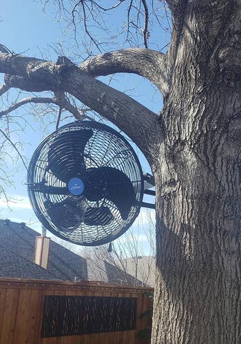 reviewer's fan attached to a tree in a backyard