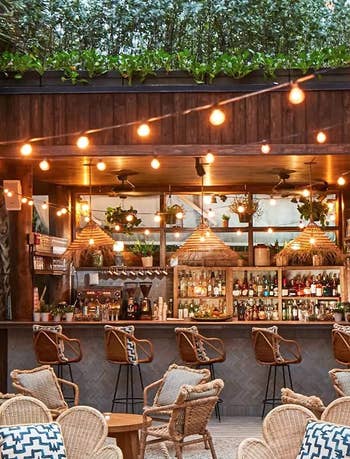 string lights on an outdoor patio with lots of seating, a bar, and plants