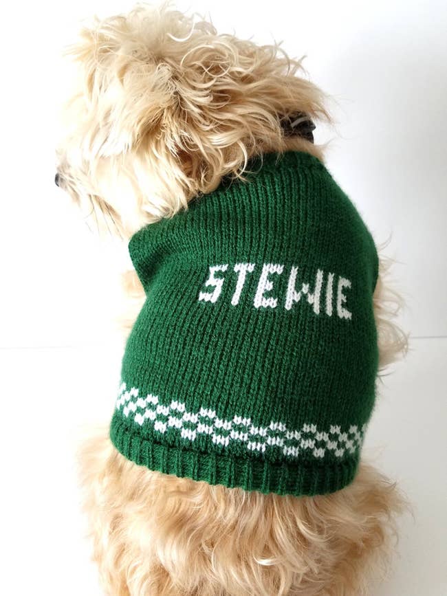 dog wearing green personalized pet sweater with checkerboard accent and name 