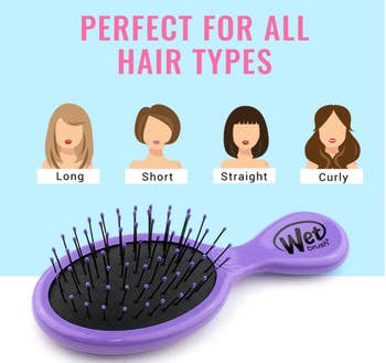 wet brush in purple with drawings of various models with different hair types 