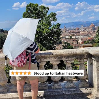 Person with umbrella viewing Florence cityscape. Review: 