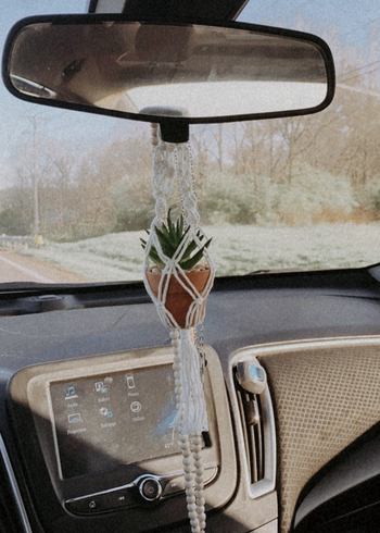 a reviewer shows the plant hanging on their rear view mirror