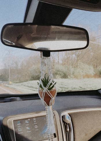 a reviewer shows the plant hanging on their rear view mirror