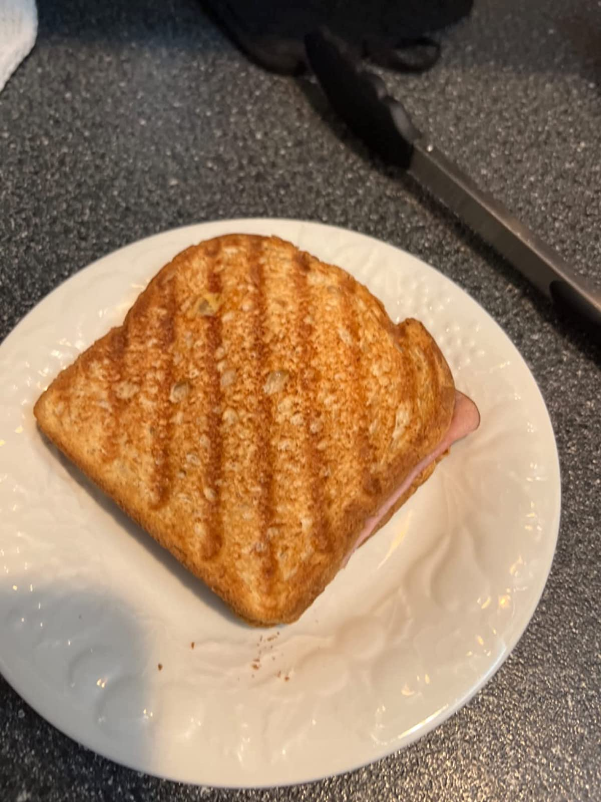 A toasted sandwich