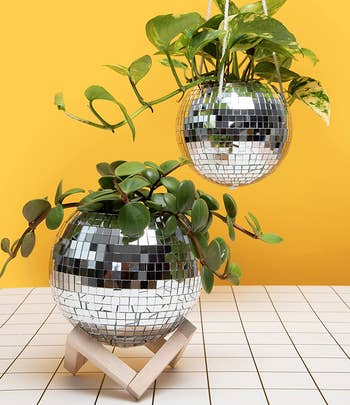 plants in two different disco ball planters, one hung with rope and one on a stand