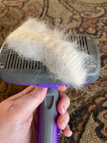 The brush with bristles retracted and a clump of hair sitting on top to be removed