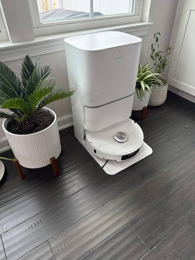 Robot vacuum docked between two potted plants on a hardwood floor
