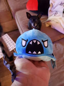reviewer holding palm sized angry shark plush