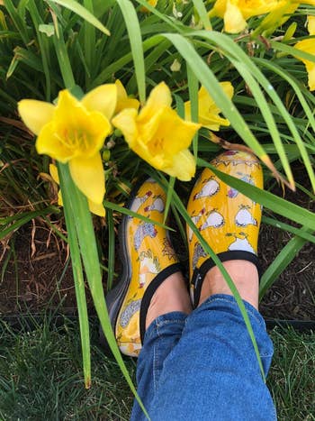 person wearing waterproof clogs in yellow with chickens on them