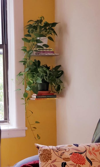 a reviewer puts plants and books on the floating shelves