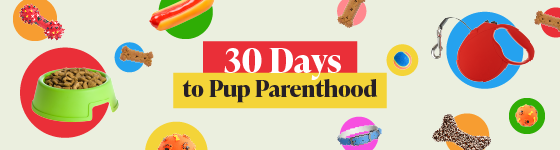 From Pup To Parenthood