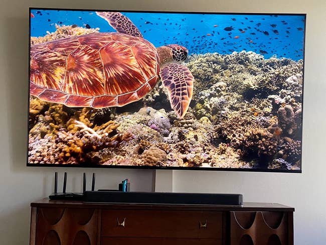 a review photo of the tv with crystal clear picture of marine life