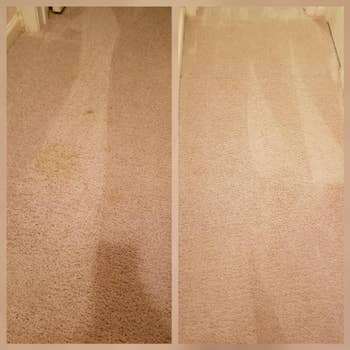 before and after of a stain on a reviewer's carpet and then the stain gone