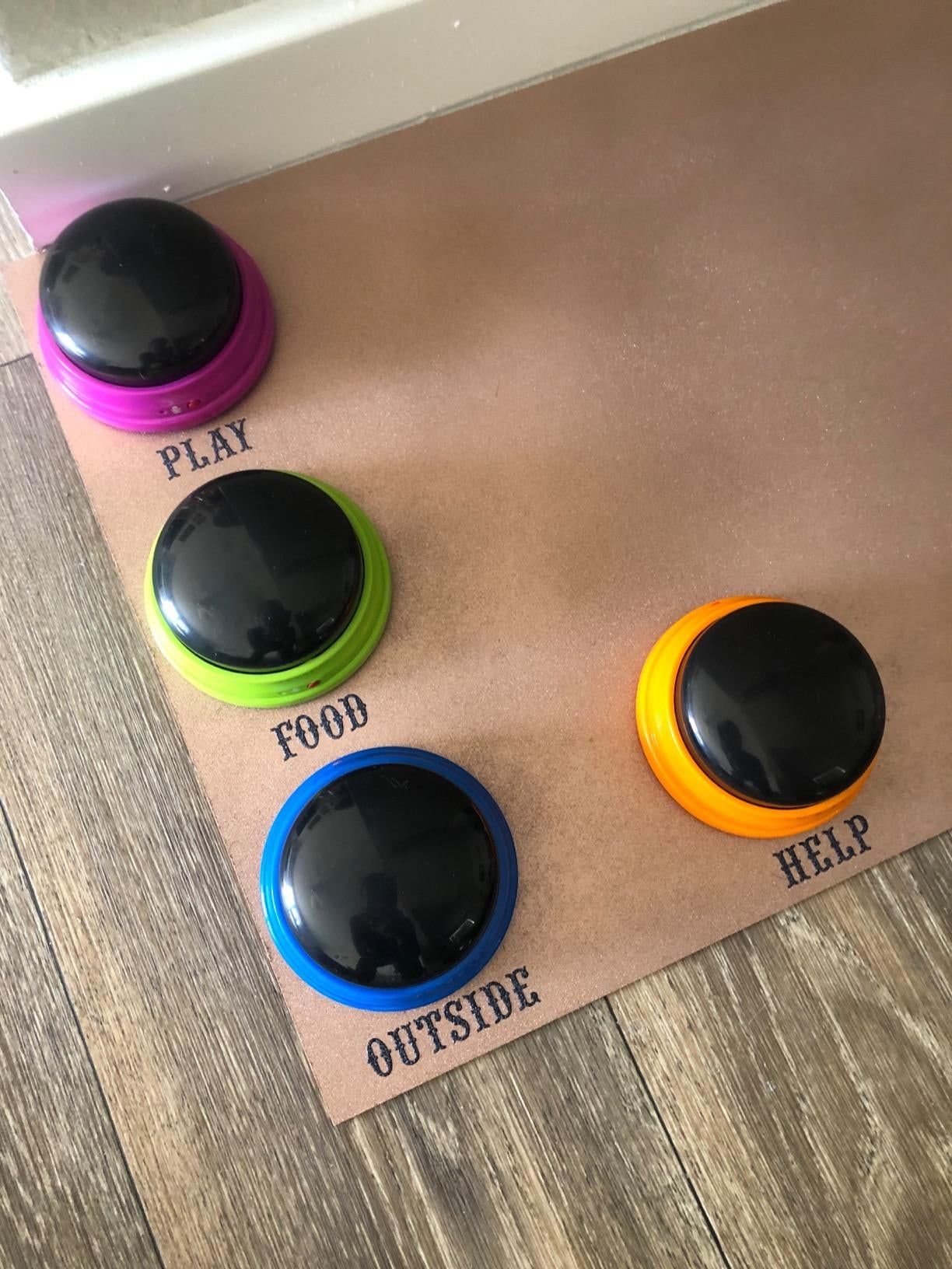 Reviewer photo of four buttons on a piece of cardboard and they're labelled play, food, outside, and help