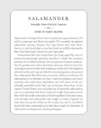 page about whether salamanders fart