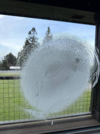 Smudged model   with a circular mark, viewed from indoors, with trees and a tract  disposable   done  the soiled  solid  outside