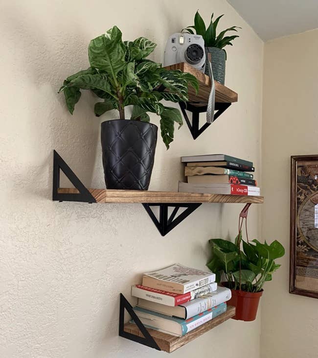 Reviewer photo of the shelves on a wall with various books, plants, and decor on it