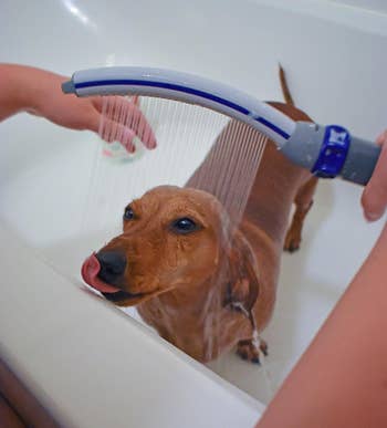 the curved sprayer being used to hose down a dog in the bath
