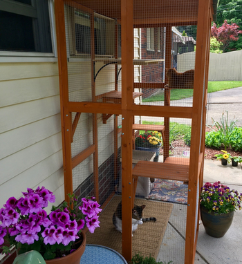 the brown wooden catio decorated and cats inside