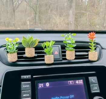 Five cork planters clipped to a car vent