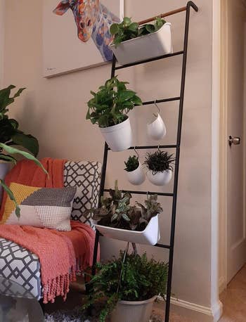 reviewer photo of the black ladder holding plants that are attached via hooks