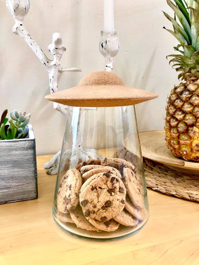cookie in jar on counter