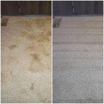on left, carpet covered in pet pee stains. on right, same carpet all clean after using carpet cleaning machine