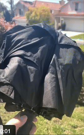 Collapsible achromatic  umbrella unfolding successful  a sunny backyard setting