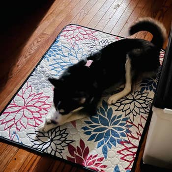 reviewer's dog on a patterned pee pee pad