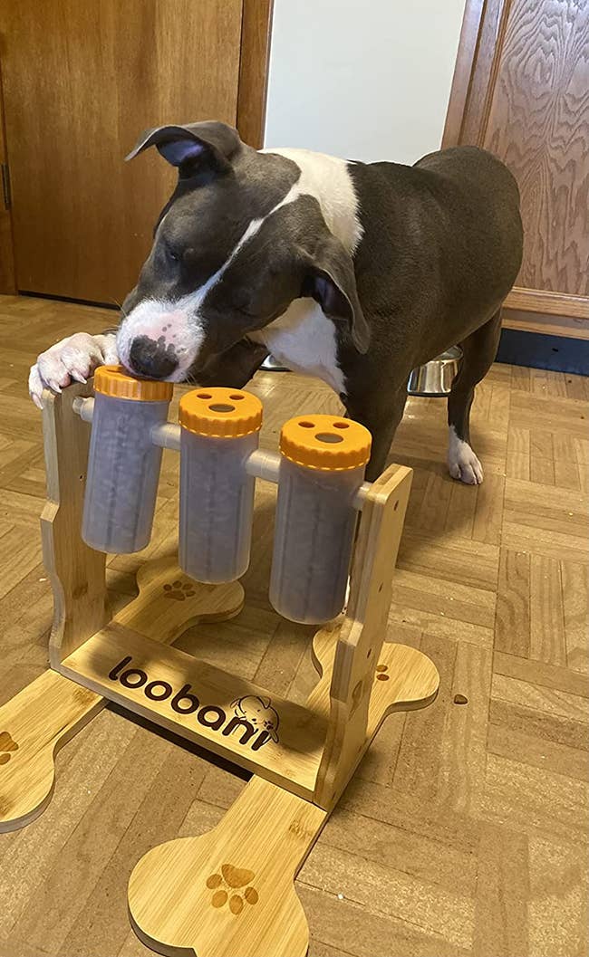 A dog using their paw to flip one of the containers on the slow feeder over