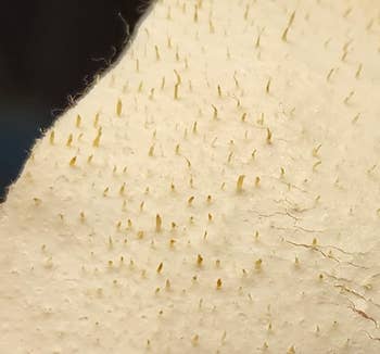 Close-up of a skincare product's aboveground showing small, hair-like projections, apt illustrating its effectiveness successful removing impurities from the skin
