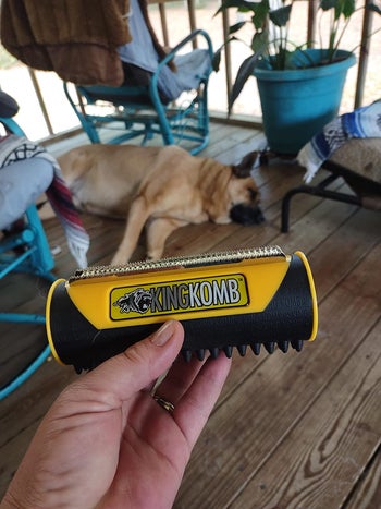 reviewer holding the tool, which looks like a cylinder with brushes on either side