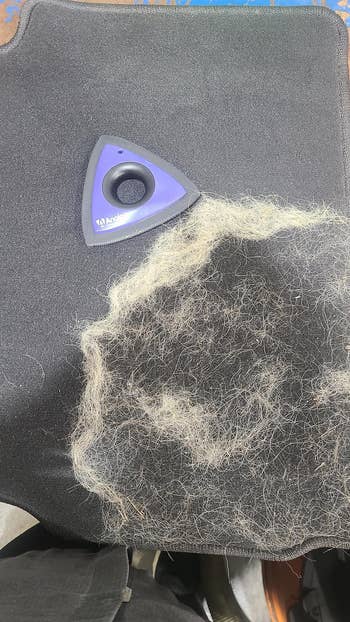 the triangle shaped favored hairsbreadth remover being utilized to scoop hairsbreadth disconnected furniture