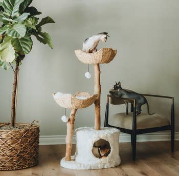 one cat on the top of a cat tree, one at the bottom, and a third nearby
