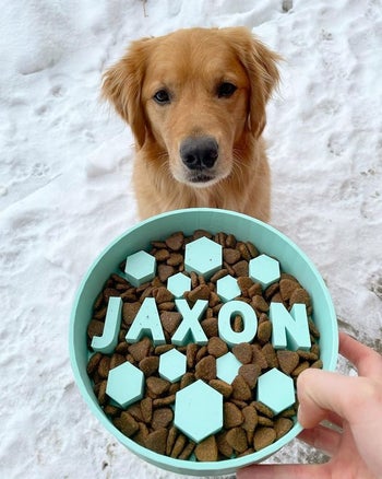 dog with mint bowl with their name in raised letters straight across and hexagon shapes