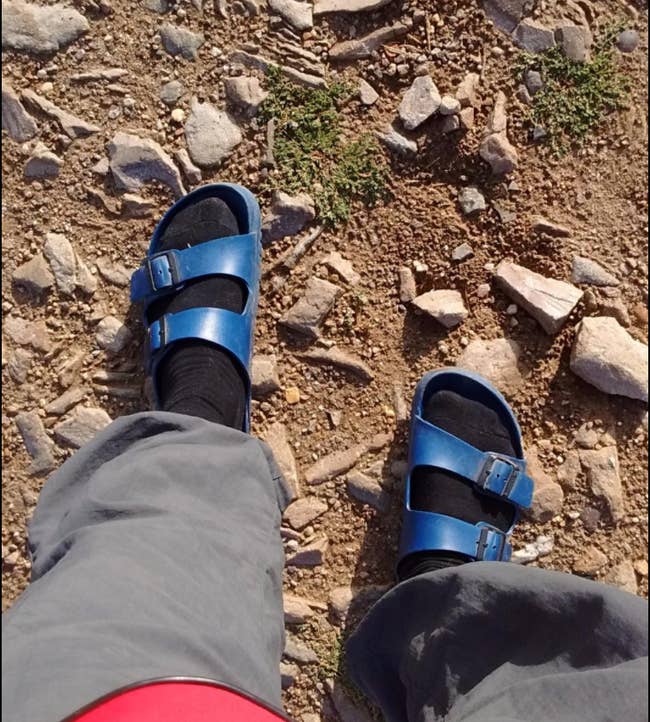 a reviewer wearing blue Birkenstocks with black socks on a dirt trail