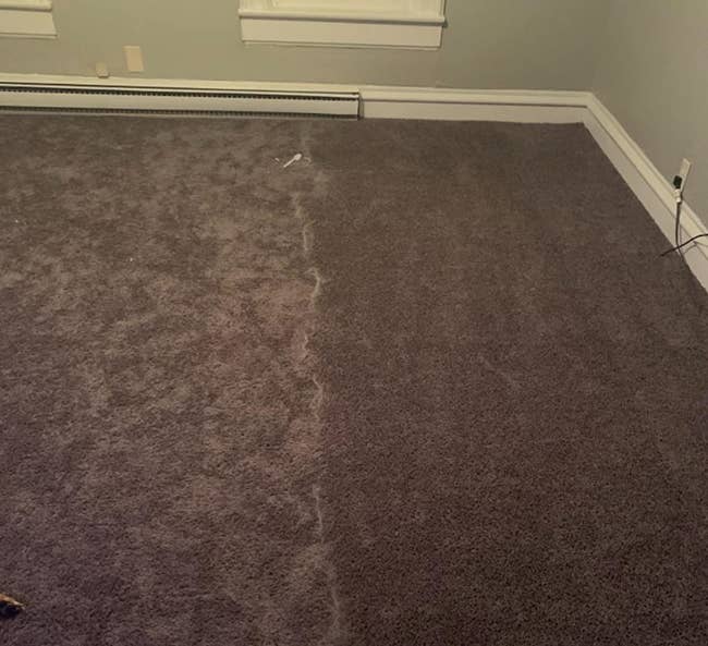 reviewer photo showing what their carpet looks like before and after using the squeegee 