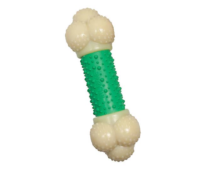 A white and green plastic bone-shaped toy with raised bristles