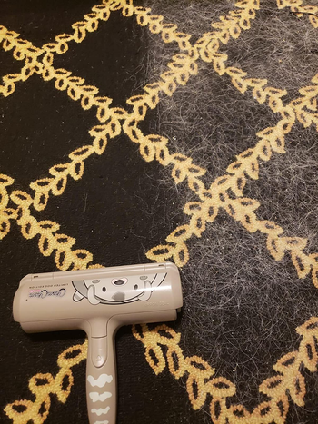grey roller with dog illustration on it on a carpet half clean and half covered with pet hair