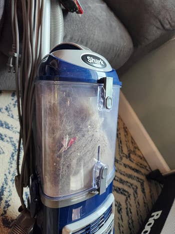 reviewer's vacuum filled with dirt and pet hair