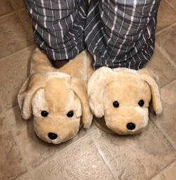 Reviewer wearing their Golden Retriever slippers