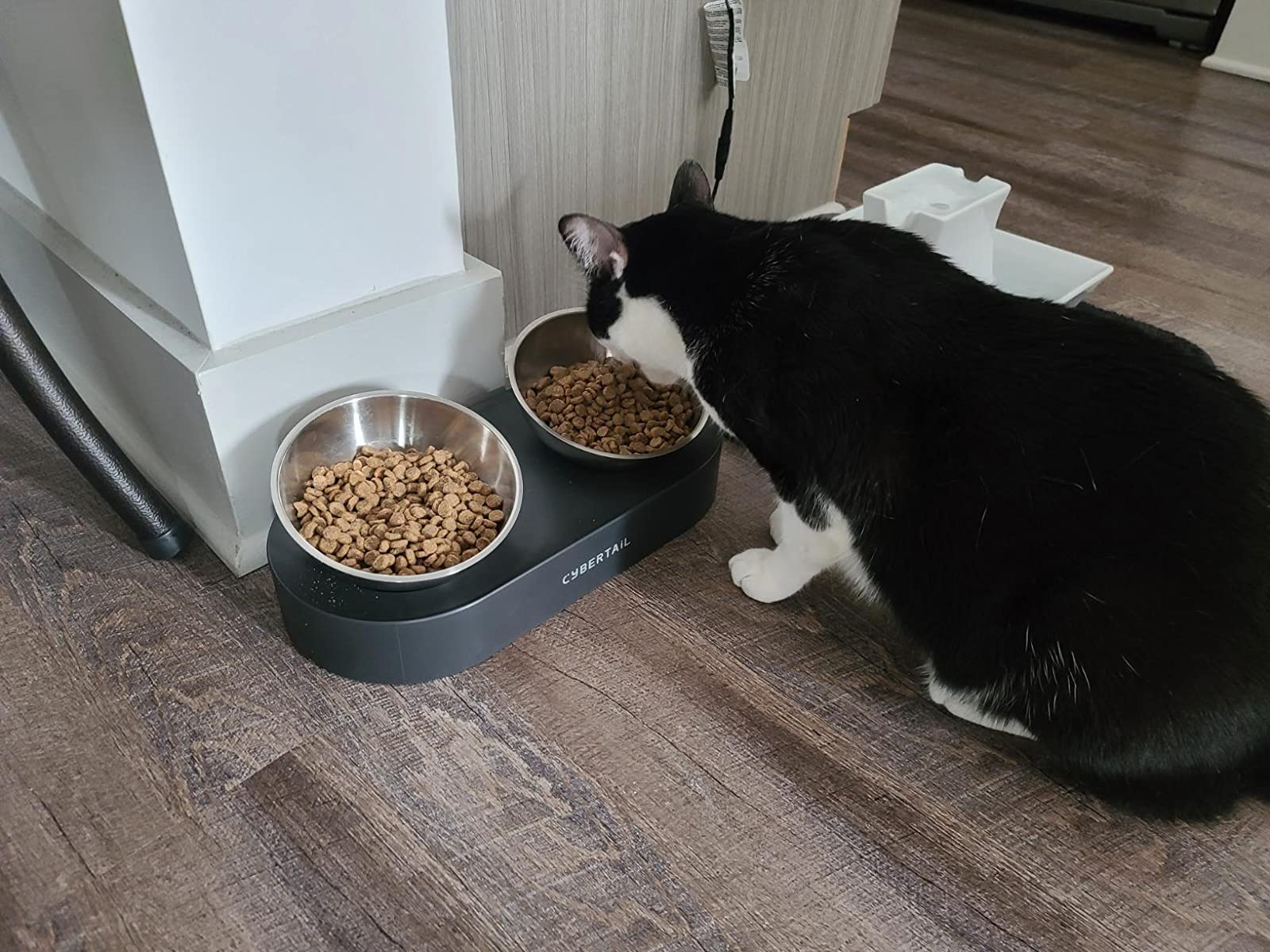 the reviewer's feline  eating nutrient  retired  of 1  of the elevated feline  bowls