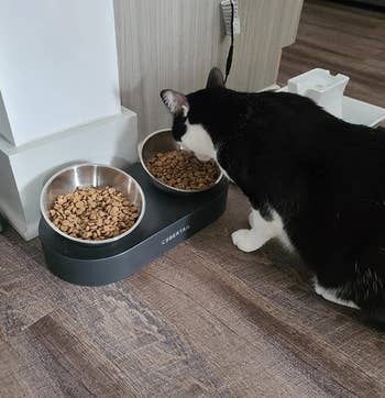 the reviewer's cat eating food out of one of the elevated cat bowls