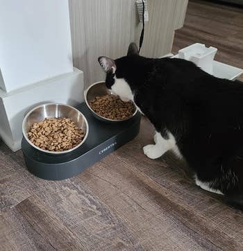 the reviewer's cat eating food out of one of the elevated cat bowls